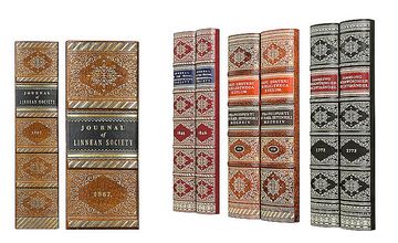 Biblioteka - aranżacja