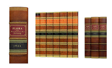 Biblioteka - aranżacja